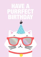 Verjaardagskaart tiener meisje Have a purrfect birthday